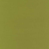 Schumacher Botticelli Silk Taffeta Apple Fabric