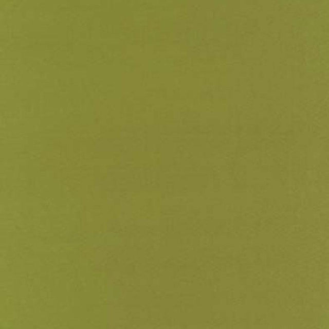 Schumacher Botticelli Silk Taffeta Apple Fabric