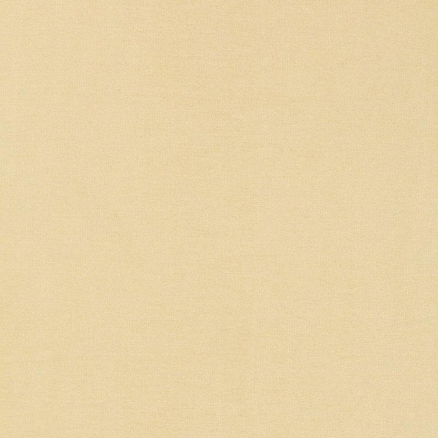 Schumacher Tiepolo Shantung Weave Bone Fabric
