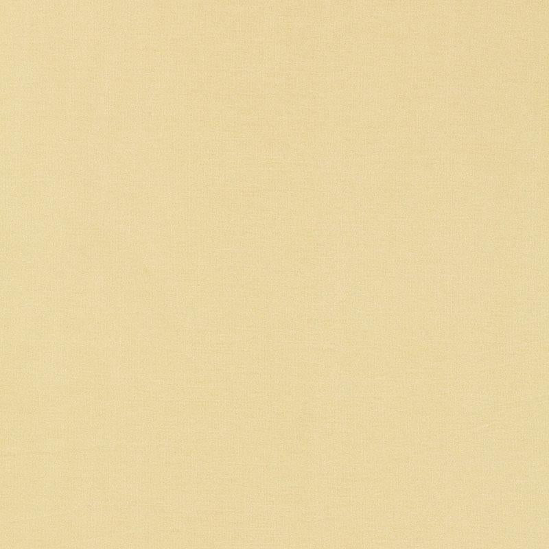 Schumacher Tiepolo Shantung Weave Ivory Fabric