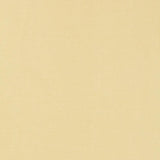 Schumacher Tiepolo Shantung Weave Ivory Fabric