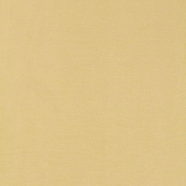 Schumacher Tiepolo Shantung Weave Champagne Fabric