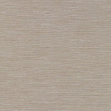 Schumacher Pozzo Weave Opal Fabric