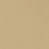 Schumacher Masaccio Taffeta Putty Fabric