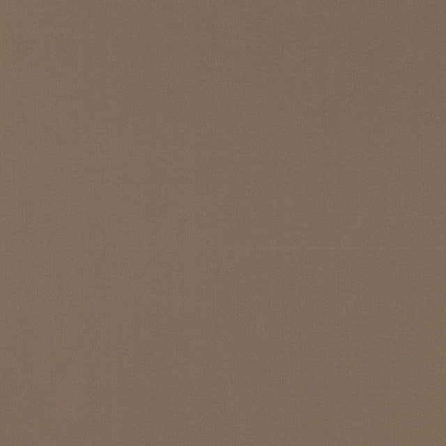 Schumacher Masaccio Taffeta Moonstone Fabric