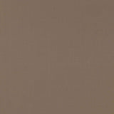 Schumacher Masaccio Taffeta Moonstone Fabric