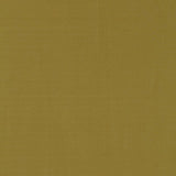 Schumacher Masaccio Taffeta Lichen Fabric