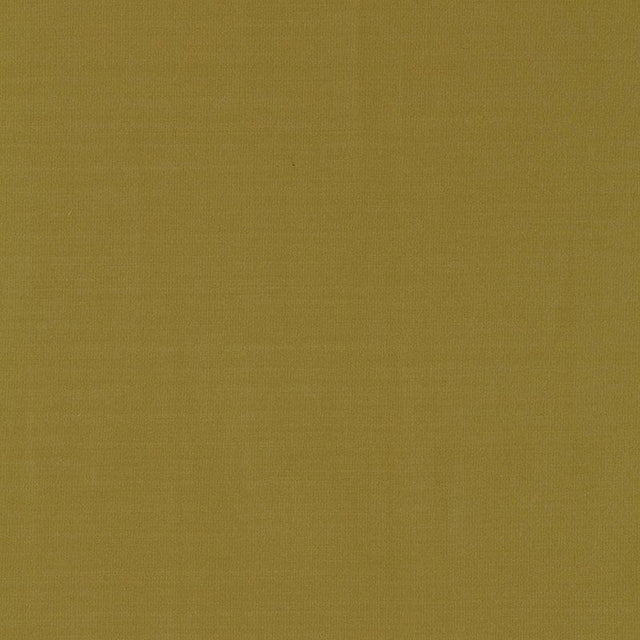 Schumacher Masaccio Taffeta Lichen Fabric