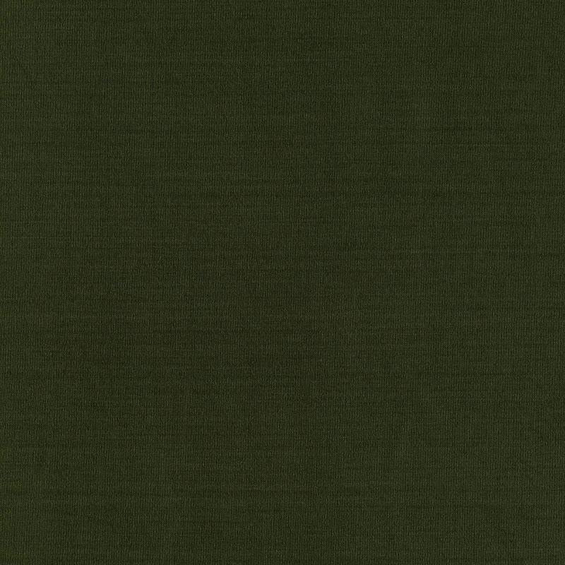 Schumacher Masaccio Taffeta Vert Fabric