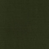 Schumacher Masaccio Taffeta Vert Fabric