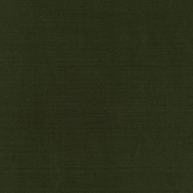 Schumacher Masaccio Taffeta Vert Fabric