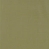 Schumacher Masaccio Taffeta Herb Fabric