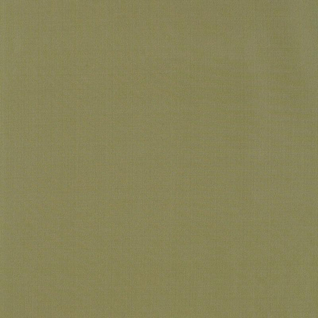 Schumacher Masaccio Taffeta Herb Fabric