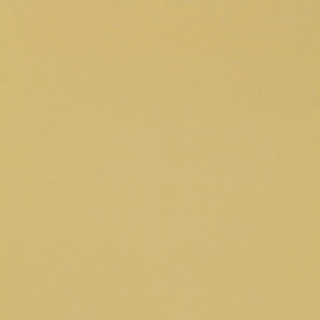 Schumacher Masaccio Taffeta Jonquil Fabric