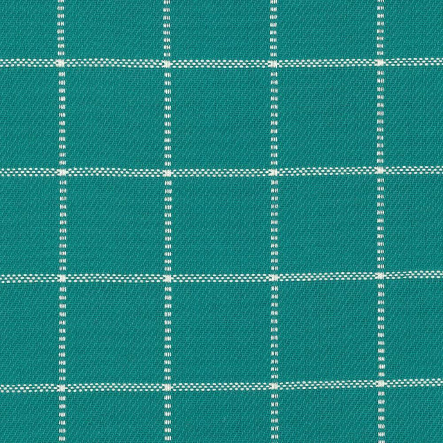 Kasmir Skylar Check Caribe Fabric