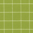 Kasmir Skylar Check Island Green Fabric