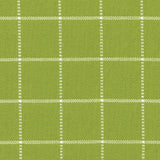 Kasmir Skylar Check Island Green Fabric