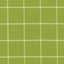 Kasmir Skylar Check Island Green Fabric