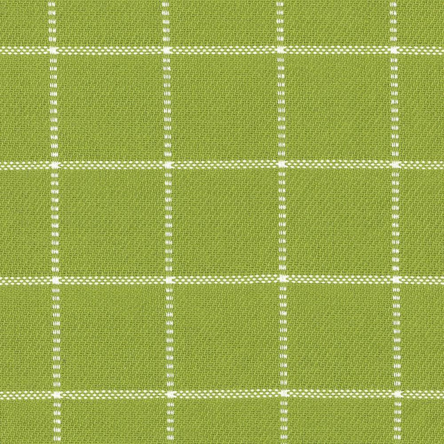 Kasmir Skylar Check Island Green Fabric