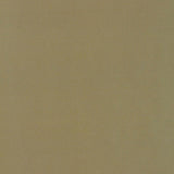 Schumacher Giordano Taffeta Topaz Fabric