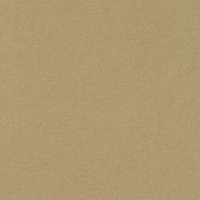 Schumacher Giordano Taffeta Sage Fabric