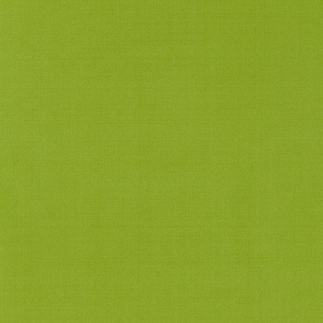 Schumacher Giordano Taffeta Lime Fabric