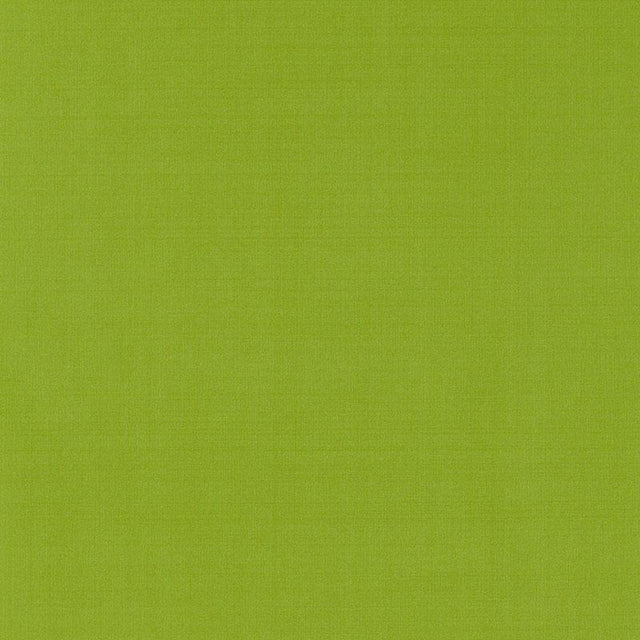 Schumacher Giordano Taffeta Lime Fabric