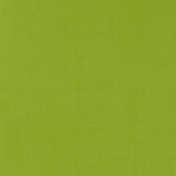Schumacher Giordano Taffeta Lime Fabric