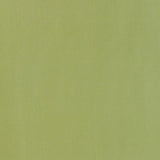 Schumacher Giordano Taffeta Kryptonite Fabric