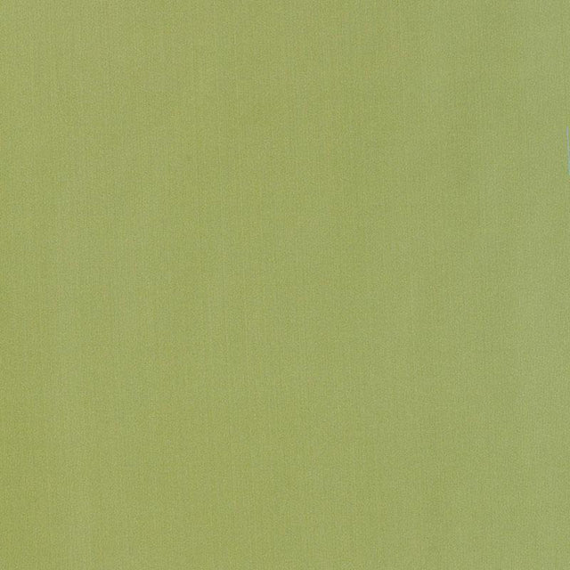 Schumacher Giordano Taffeta Kryptonite Fabric