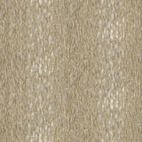 Kravet CHROMIS PUMICE Fabric
