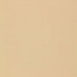 Schumacher Isolde Cotton Weave String Fabric