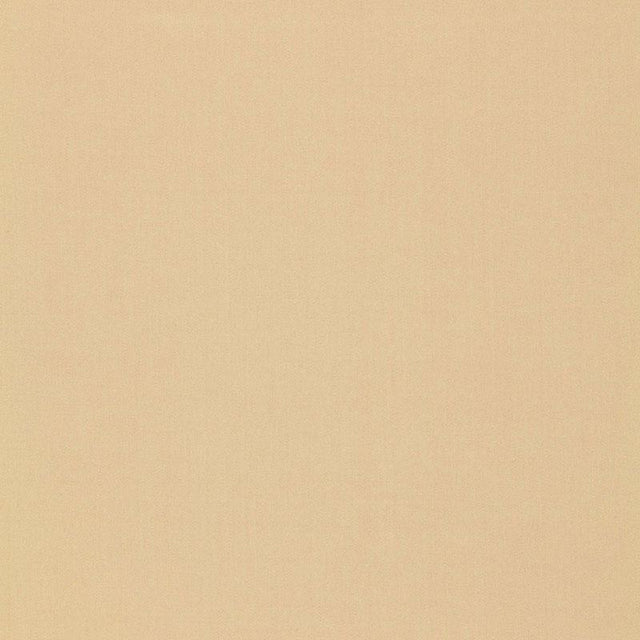 Schumacher Isolde Cotton Weave String Fabric