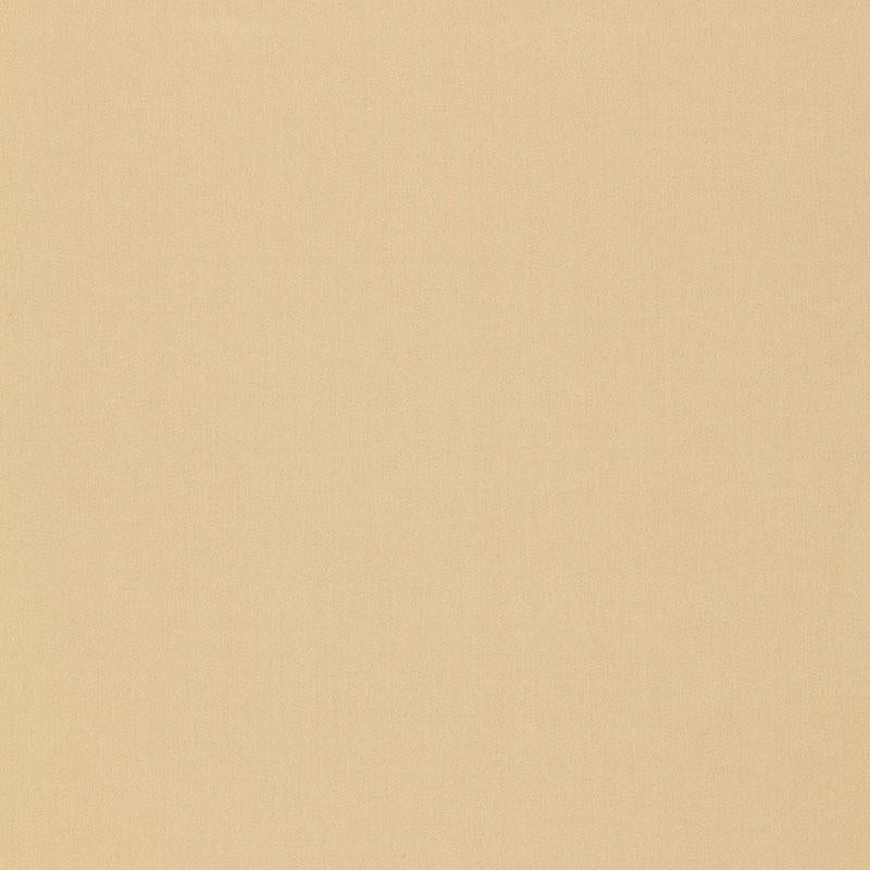 Schumacher Isolde Cotton Weave String Fabric