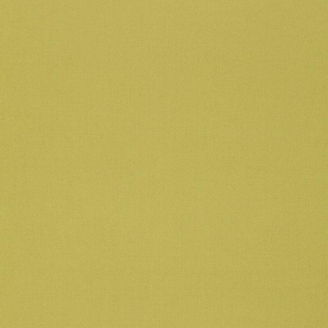 Schumacher Isolde Cotton Weave Pear Fabric