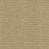 Kasmir Sotto Natural Fabric