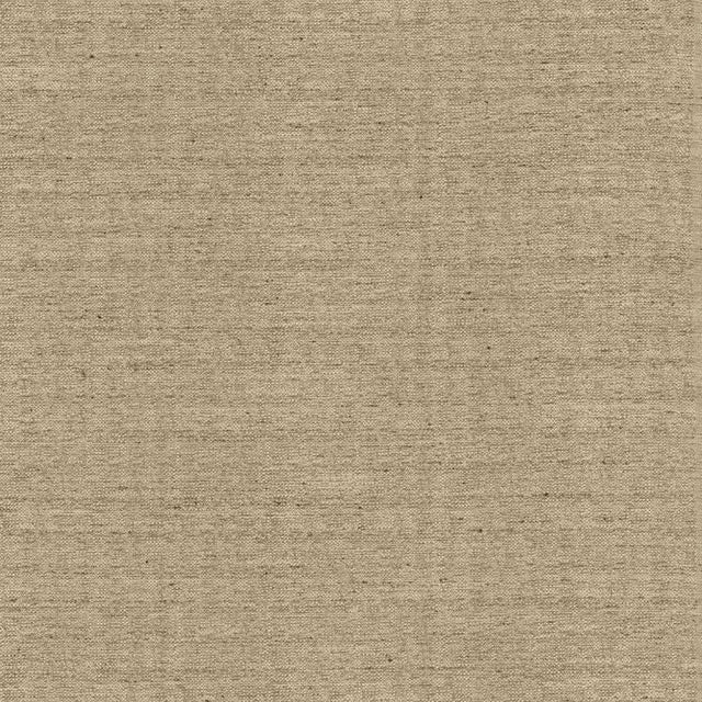 Kasmir Sotto Twig Fabric