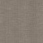 Kasmir Sotto Viridian Grey Fabric