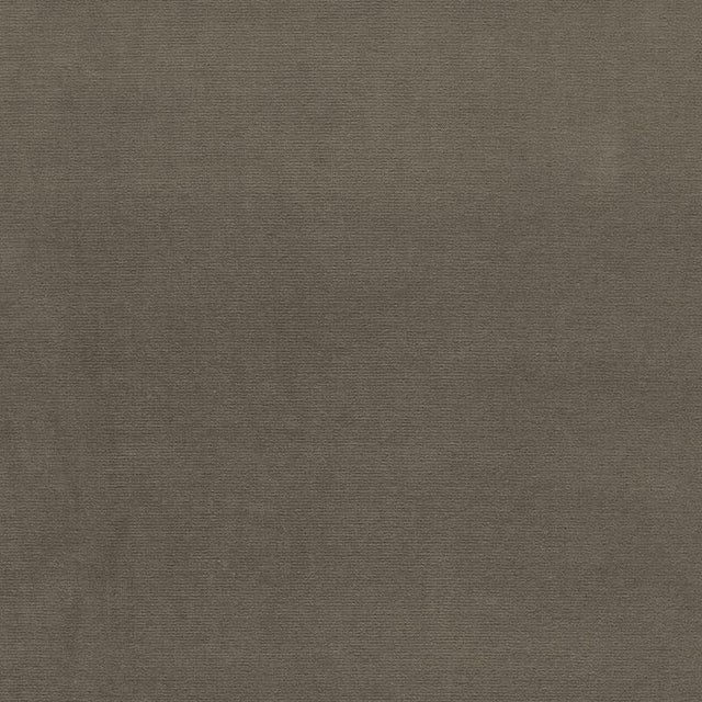 Schumacher Gainsborough Velvet Moleskin Fabric