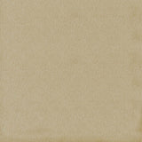 Kasmir Spontaneity Cedar Fabric