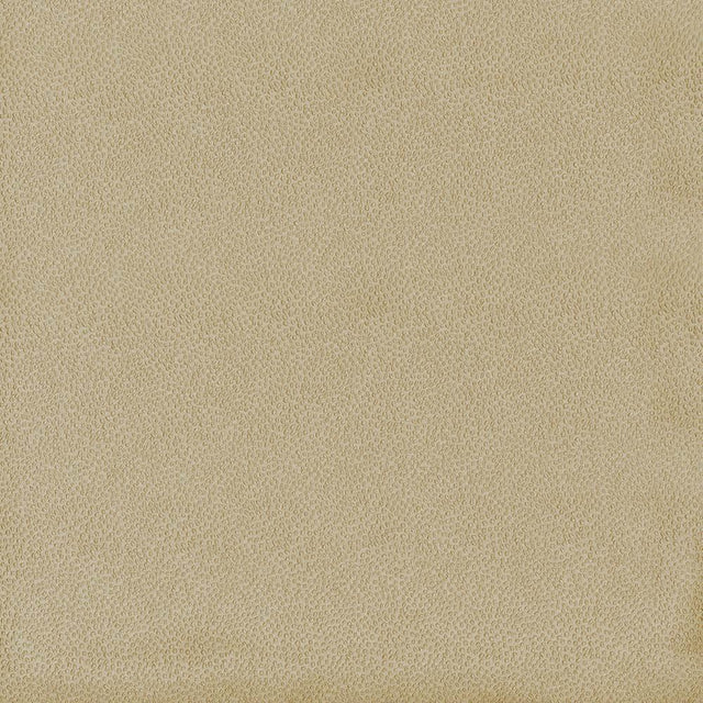 Kasmir Spontaneity Cedar Fabric