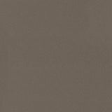 Kasmir Spontaneity Cocoa Fabric