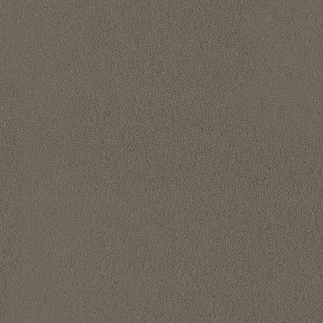 Kasmir Spontaneity Cocoa Fabric