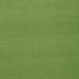 Schumacher Gainsborough Velvet Grass Fabric
