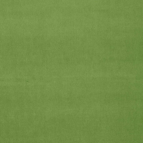 Schumacher Gainsborough Velvet Grass Fabric