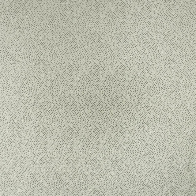 Kasmir Spontaneity Silver Fabric