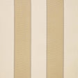 Schumacher Montebello Stripe Champagne Fabric