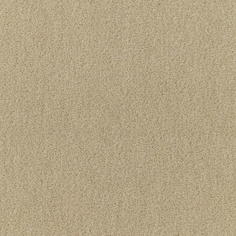 Schumacher San Carlo Mohair Velvet Pebble Fabric