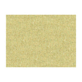 Kravet 33127 123 Fabric