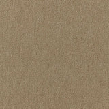 Schumacher San Carlo Mohair Velvet Sage Fabric